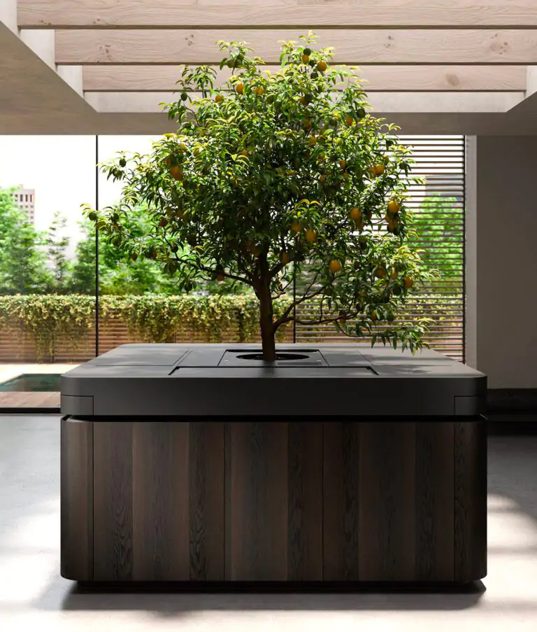 Renzo Rastelli, the Oasi kitchen shown in a sustainability context.